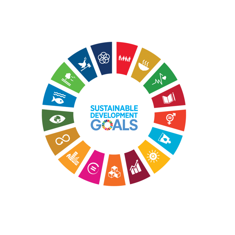UN Sustainable Development Goals
